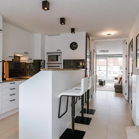 Modern With Two Terraces In Apartment *